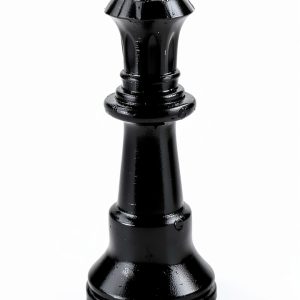 Chess Strategy Guide French Kindle Edition by A verba futuroruM –-0