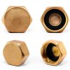 1/2 Inch Brass Blanking Caps Juxiamal Hex Nut with Gasket 2 Pack-2